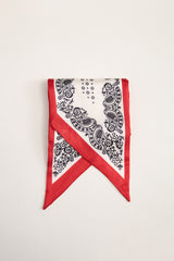 Oblong printed scarf