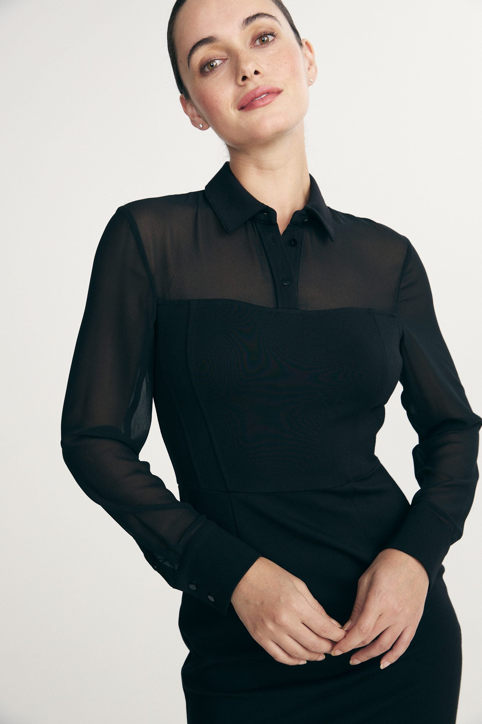 Dress sheer long sleeves