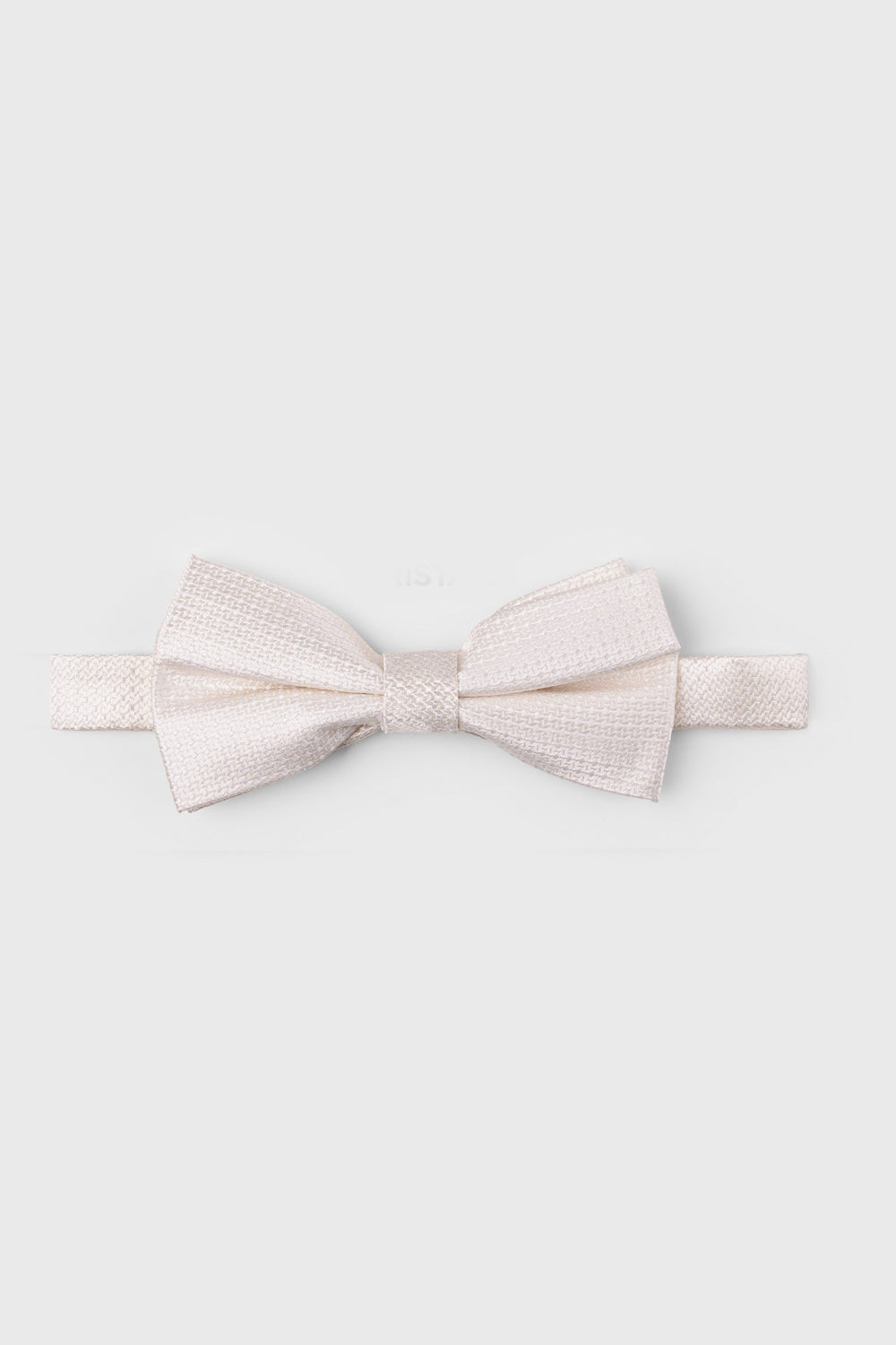 Noeud papillon