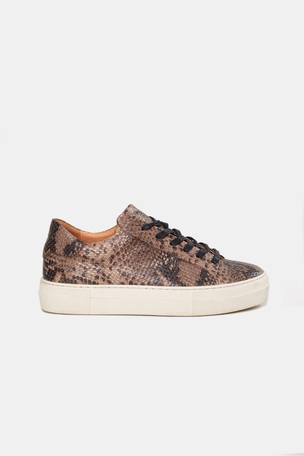 Animal print sneaker