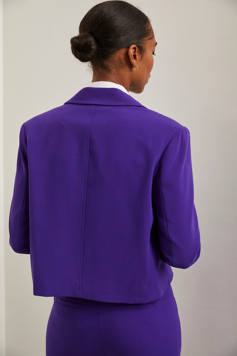 Plum sales blazer womens